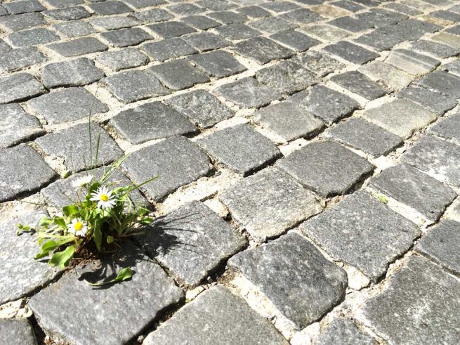 Hotel Münchner Hof Regensburg Umwelt